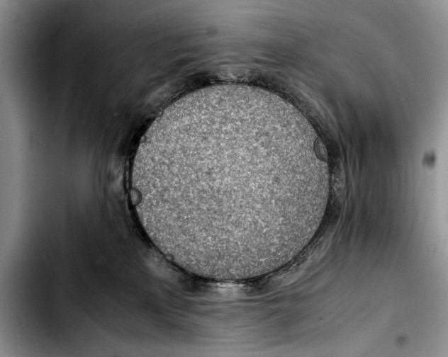 X0000103410233200810101003