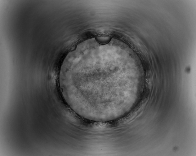 X0000103410235200810101003