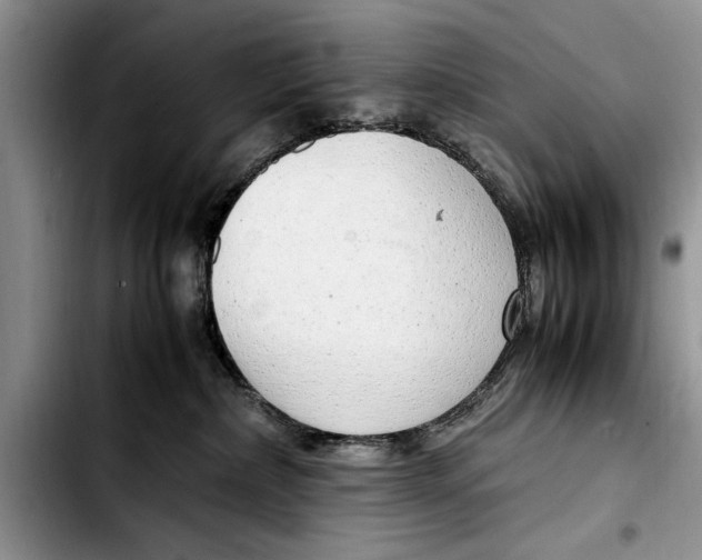 X0000103410236200810101003