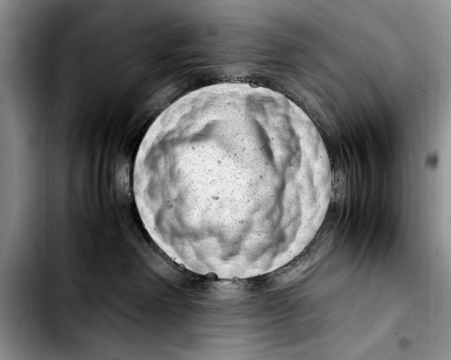 X0000103410238200810101003