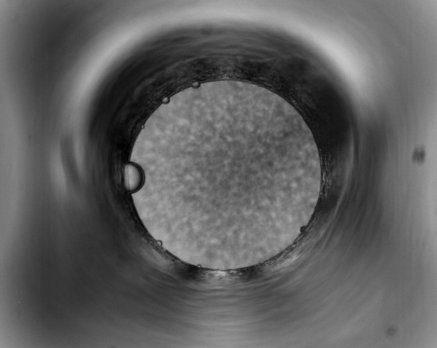 X0000103410239200810101003