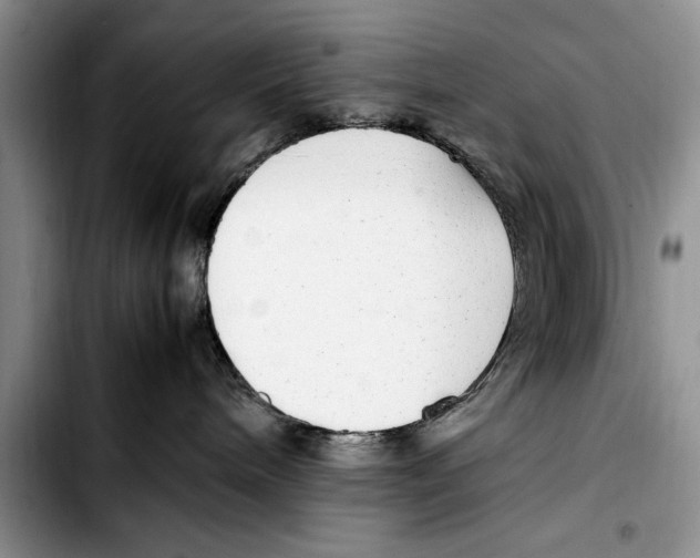 X0000103410240200810101003