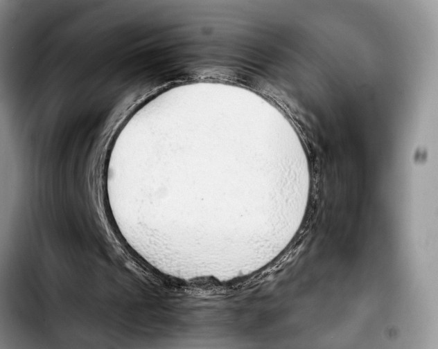 X0000103410241200810101003