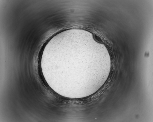 X0000103410242200810101003