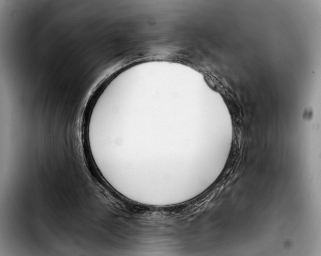 X0000103410244200810101003