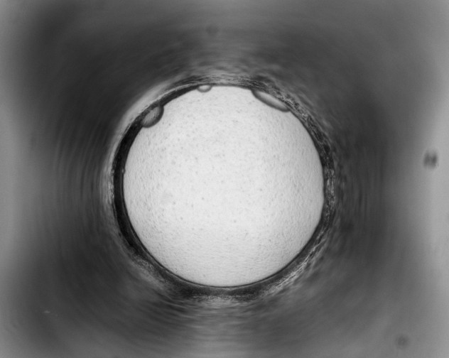 X0000103410246200810101003