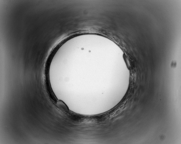 X0000103410248200810101003