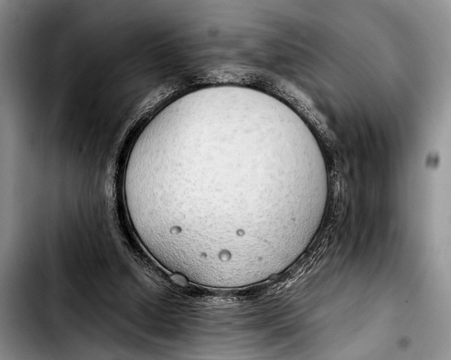 X0000103410250200810101003