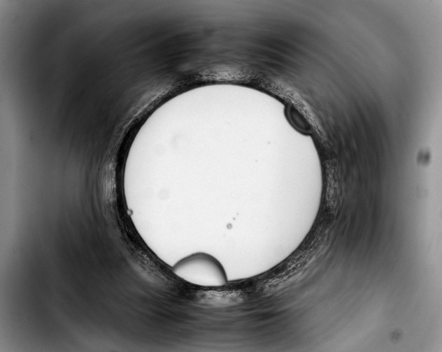 X0000103410251200810101003