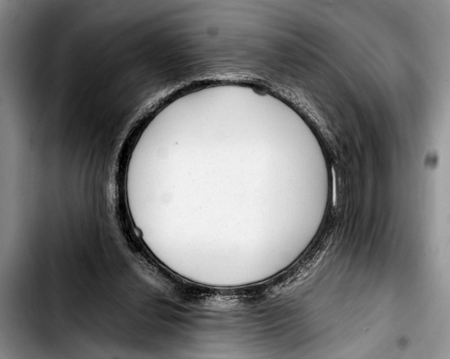 X0000103410252200810101003