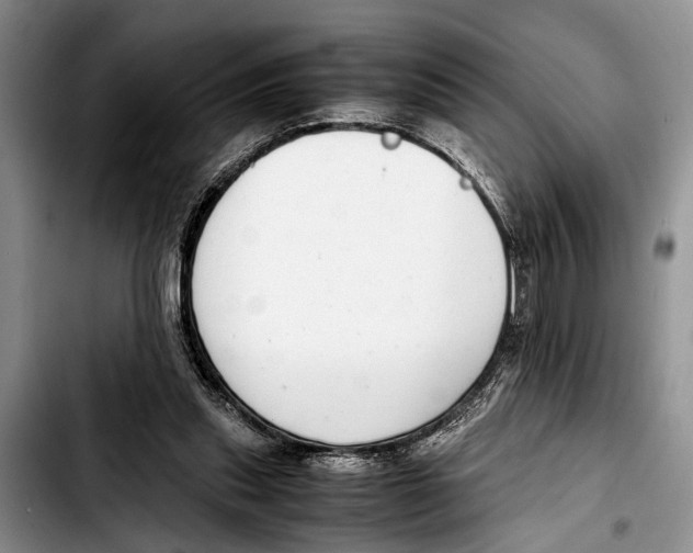 X0000103410253200810101003