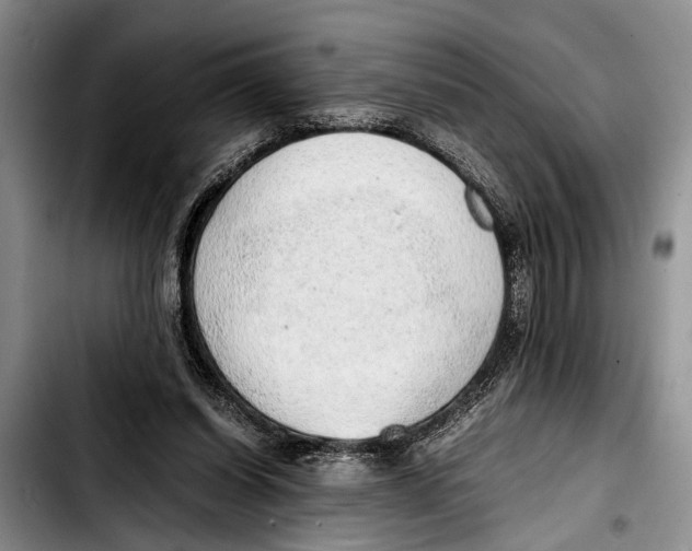 X0000103410254200810101003