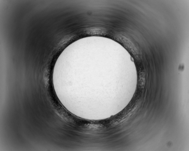 X0000103410255200810101003