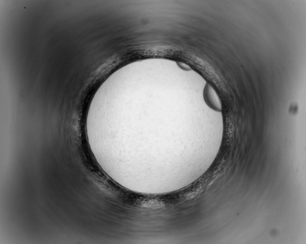 X0000103410258200810101003