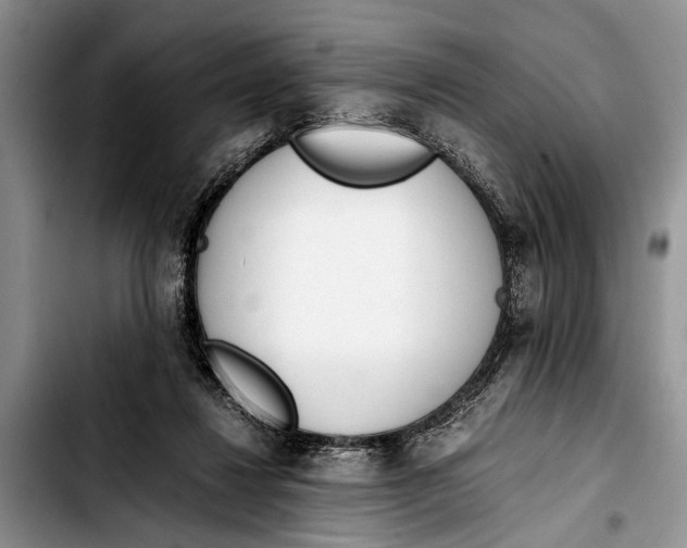 X0000103410260200810101003