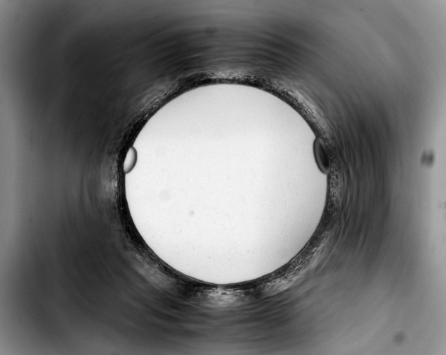 X0000103410261200810101003