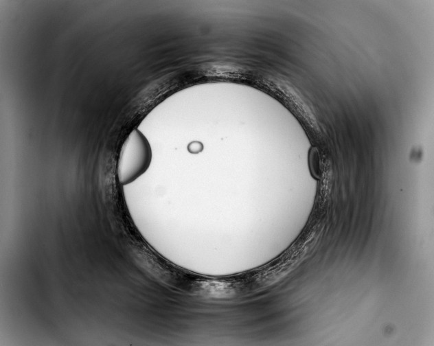 X0000103410265200810101003