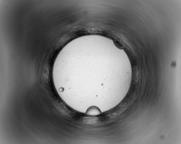 X0000103410266200810101003