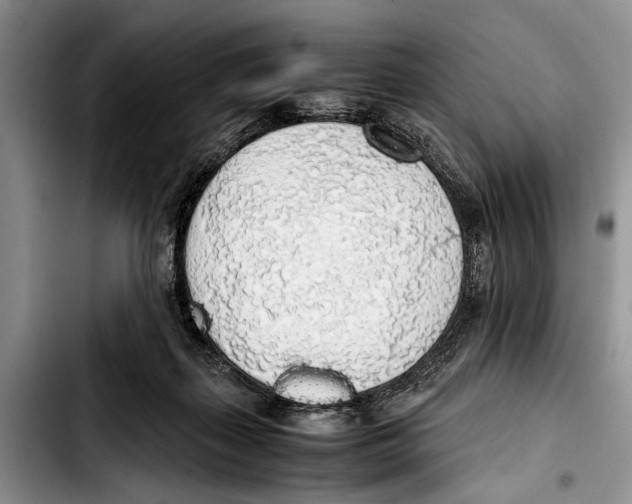 X0000103410267200810101003