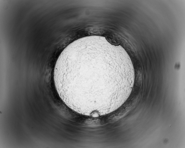 X0000103410271200810101003