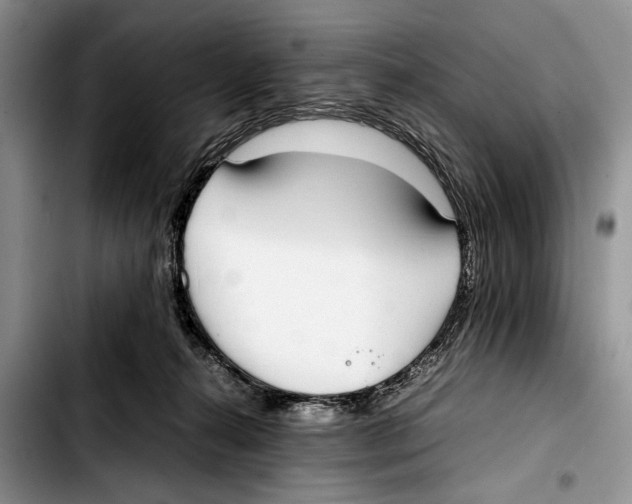 X0000103410272200810101003