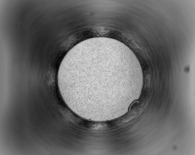 X0000103410274200810101003