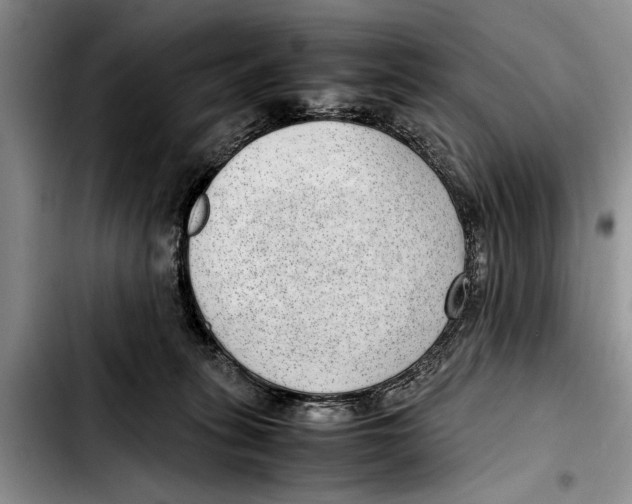 X0000103410275200810101003