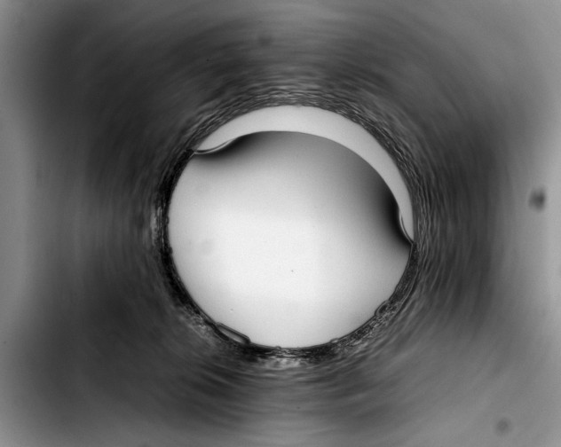 X0000103410276200810101003