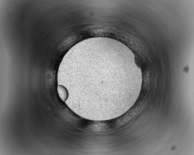 X0000103410278200810101003