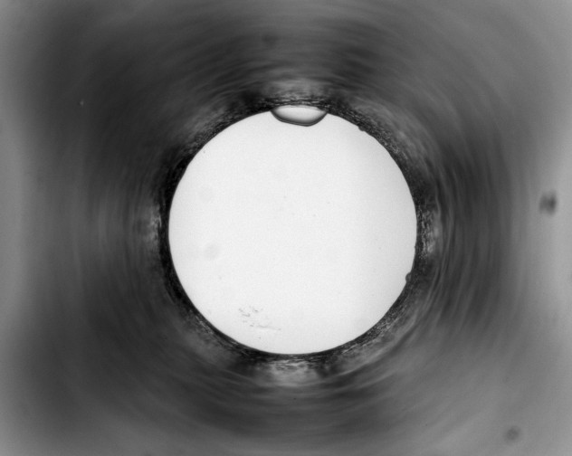 X0000103410279200810101003