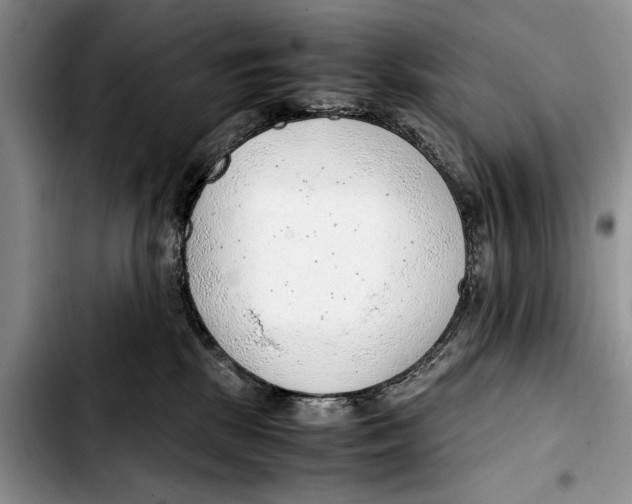 X0000103410281200810101003