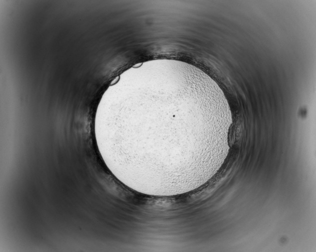 X0000103410282200810101003