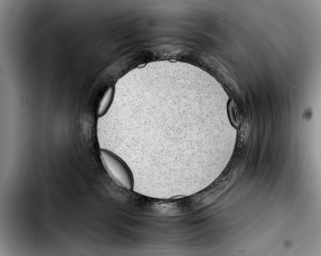 X0000103410283200810101003