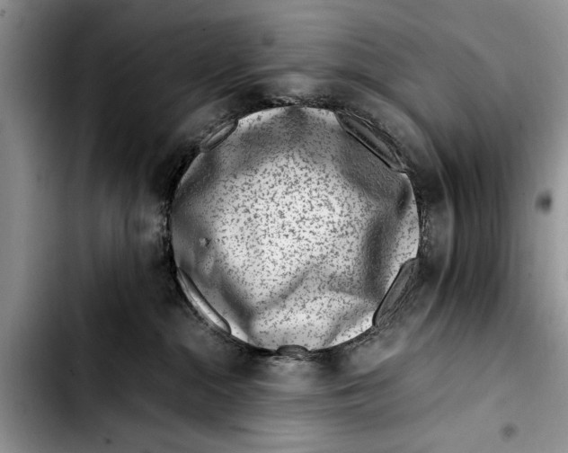 X0000103410284200810101003