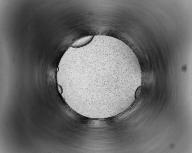 X0000103410286200810101003