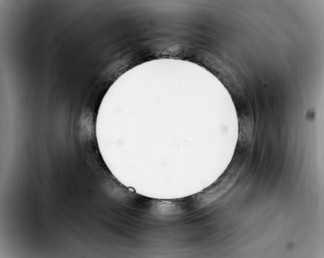 X0000103410287200810101003