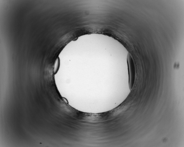 X0000103410288200810101003