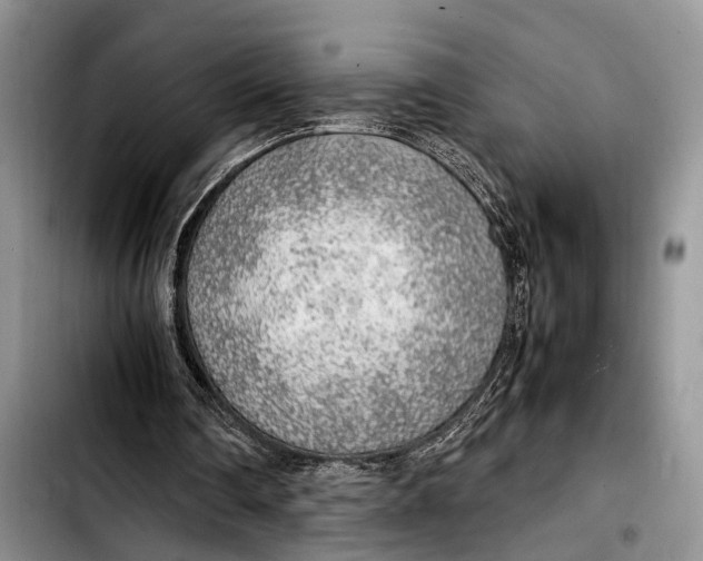 X0000103410290200810101003