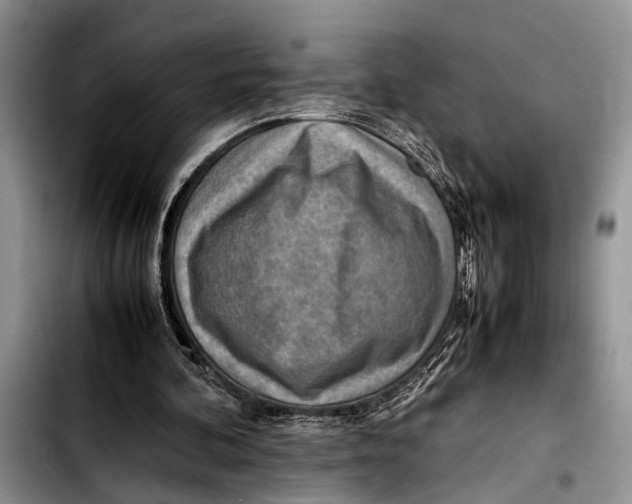 X0000103410292200810101003