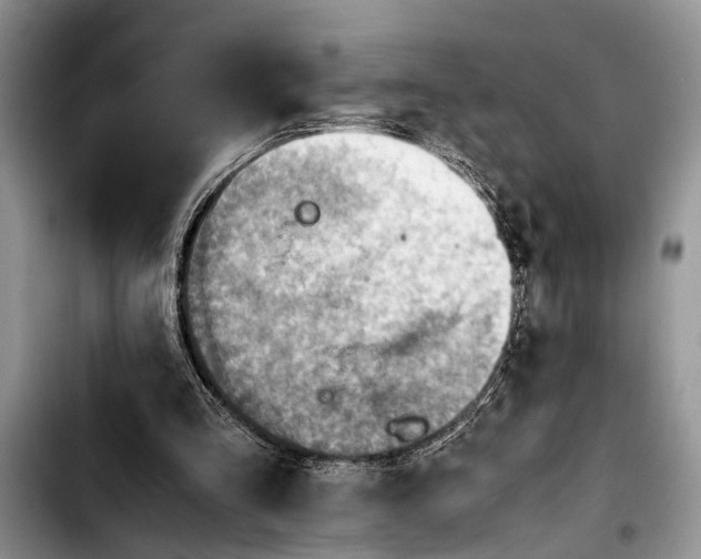 X0000103410293200810101003