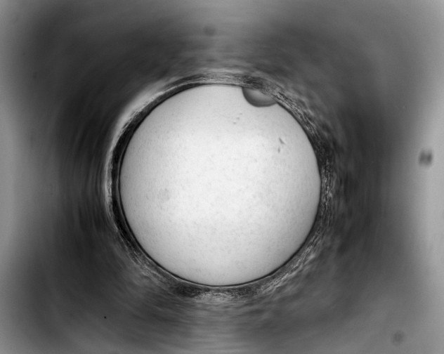 X0000103410294200810101003