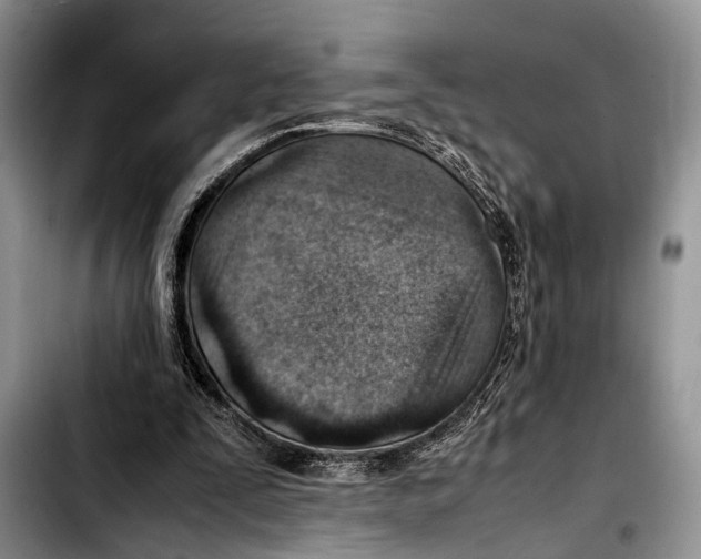 X0000103410295200810101003