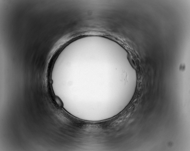 X0000103410296200810101003