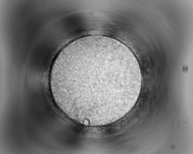 X0000103410297200810101003