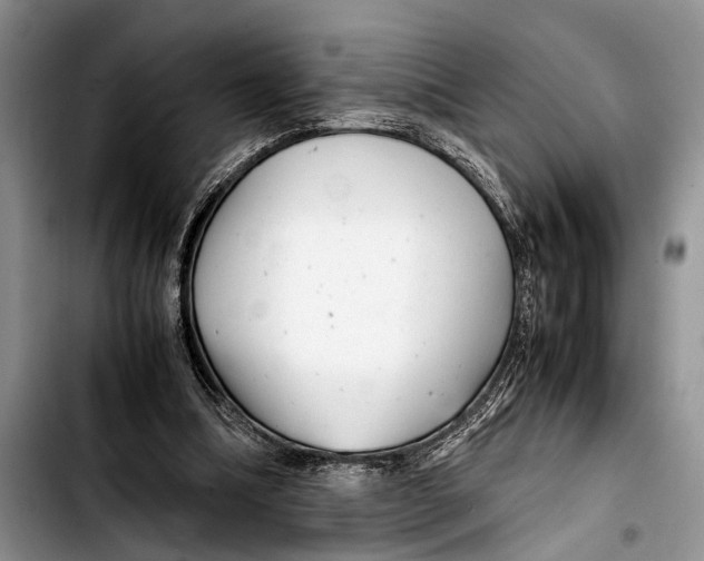 X0000103410298200810101003