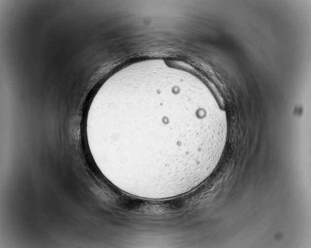 X0000103410299200810101003