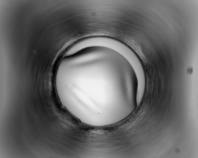 X0000103410300200810101002