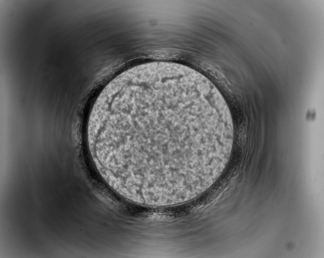 X0000103410303200810101002