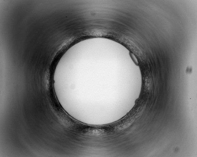 X0000103410304200810101002