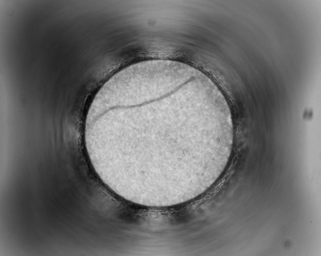 X0000103410305200810101002